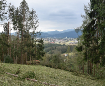 hagelschaden_landschaft.jpg