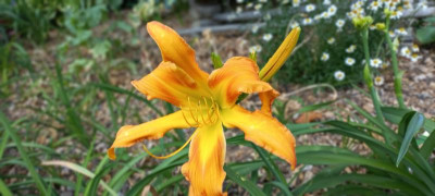 20210630_114602.jpg