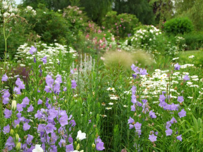2021_0326EndeJuni20114.JPG