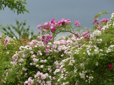 2021_0629EndeJuni280192.JPG