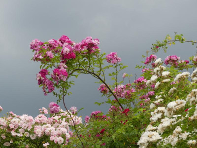 2021_0629EndeJuni280196.JPG