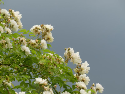 2021_0629EndeJuni280193.JPG