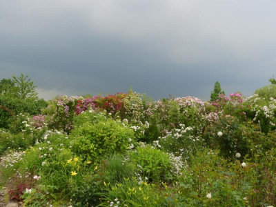 2021_0629EndeJuni280197.JPG
