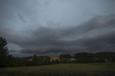 Teistungen 29.06.21-5119297.jpg