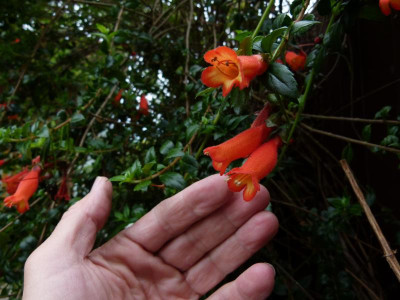 P1200302.JPG