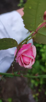 IMG_20210630_210843.jpg
