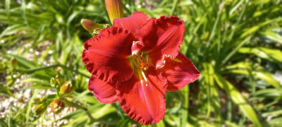20210703_101654.jpg