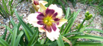 20210703_101612.jpg