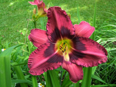 2021_0403JulianfangHems0010.jpg