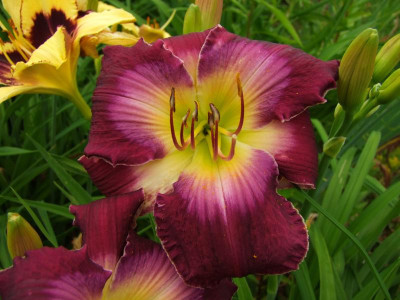 2021_0403JulianfangHems0130.jpg