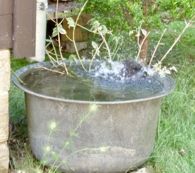 tg_210704_1.jpg