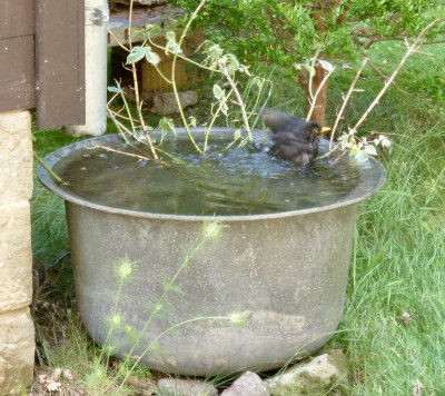 tg_210704_2.jpg
