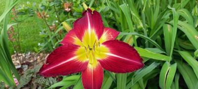 20210705_102636.jpg