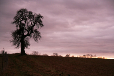Abendlicht-1.jpg