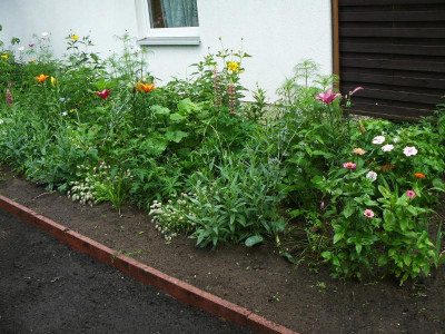 Offene Gärten 3152.jpg