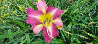 20210707_075547.jpg