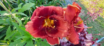 20210707_075612.jpg