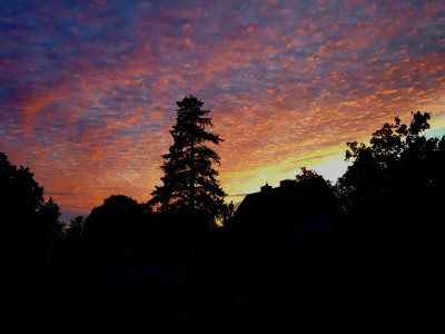 20210705_220624.jpg