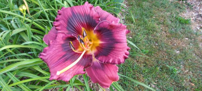 20210708_064516.jpg