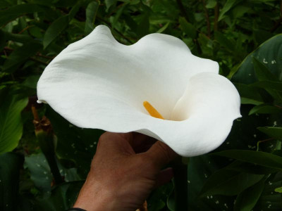 P1200366.JPG