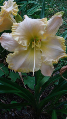 DSC04405.JPG