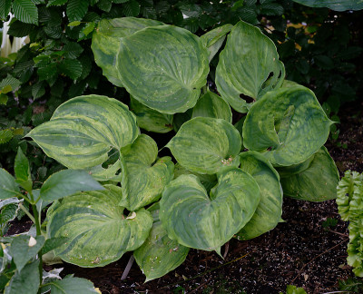 DSC_1799_DxO.jpg