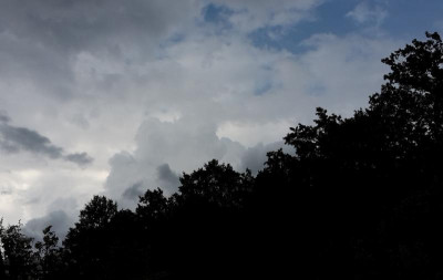 20210709_163423.jpg