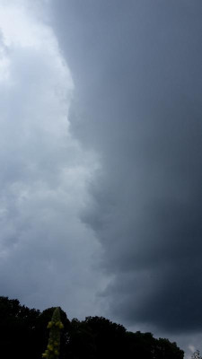20210709_163332.jpg
