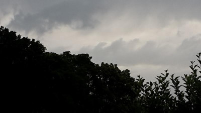 20210709_165357.jpg