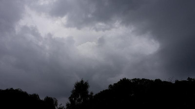 20210709_173121.jpg