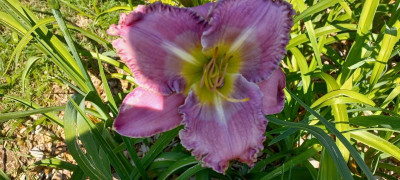20210710_103636.jpg