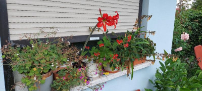 20210710_123920.jpg