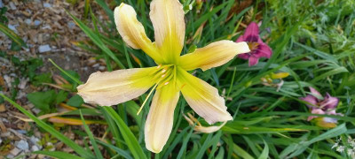 20210711_072319.jpg