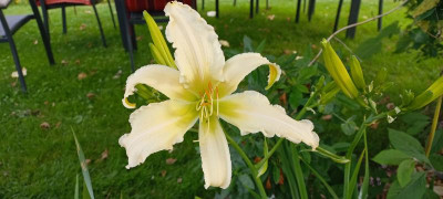 20210711_071554.jpg