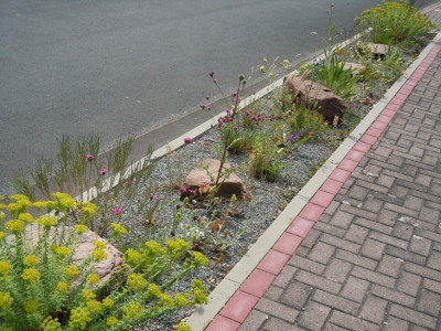 DSCN0971.JPG