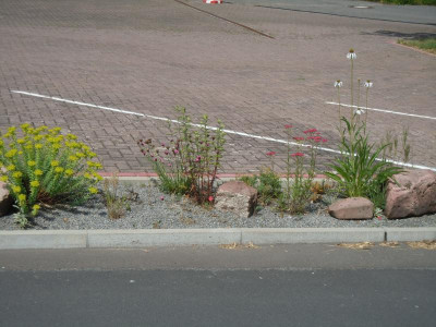 DSCN0962.JPG