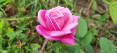 IMG_20210711_114816.jpg