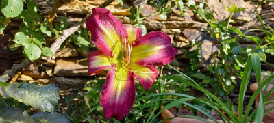 20210712_073319.jpg