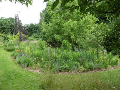 2021-07-11 Garteneinblick 21.jpg