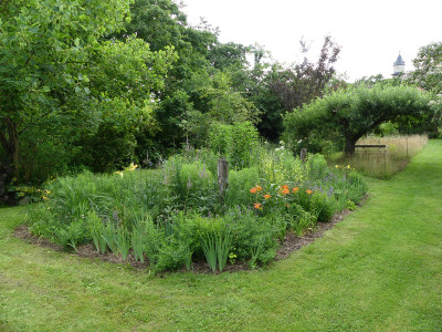2021-07-11 Garteneinblick 22.jpg