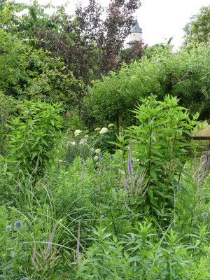 2021-07-11 Garteneinblick 3.jpg