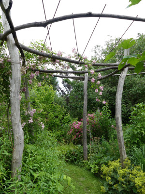 2021-07-11 Pergola.jpg