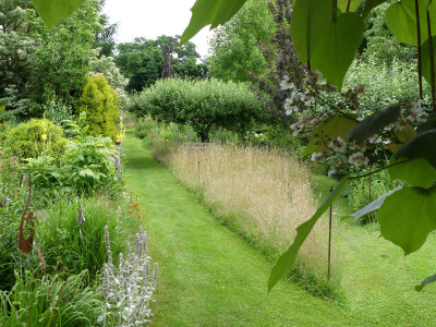 2021-07-11 Garteneinblick 1.jpg