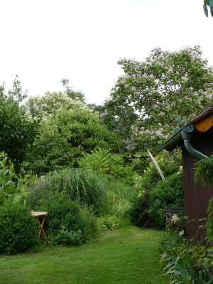 2021-07-11 Garteneinblick 17.jpg