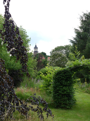 2021-07-11 Garteneinblick 25.jpg
