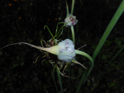 DSCN2209.JPG