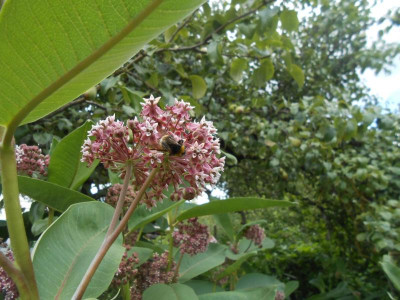 DSCN2223.JPG