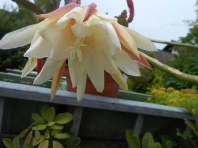 DSCN2265.JPG