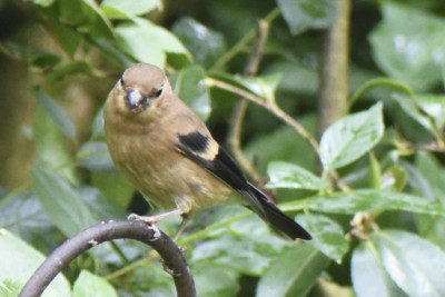DSC_1220.jpg