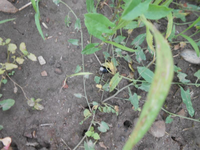 DSCN2270.JPG